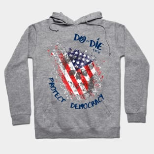 Protect Democracy Hoodie